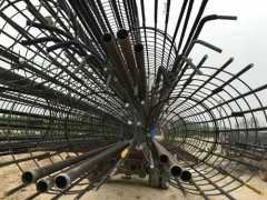 桩基妖精视频网站入口